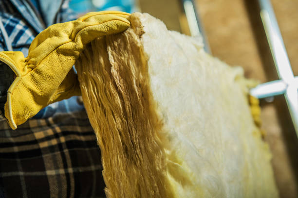 Best Insulation Maintenance and Repair in Roodhouse, IL