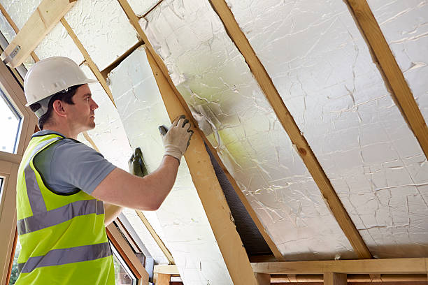 Best Insulation Installation Services in Roodhouse, IL